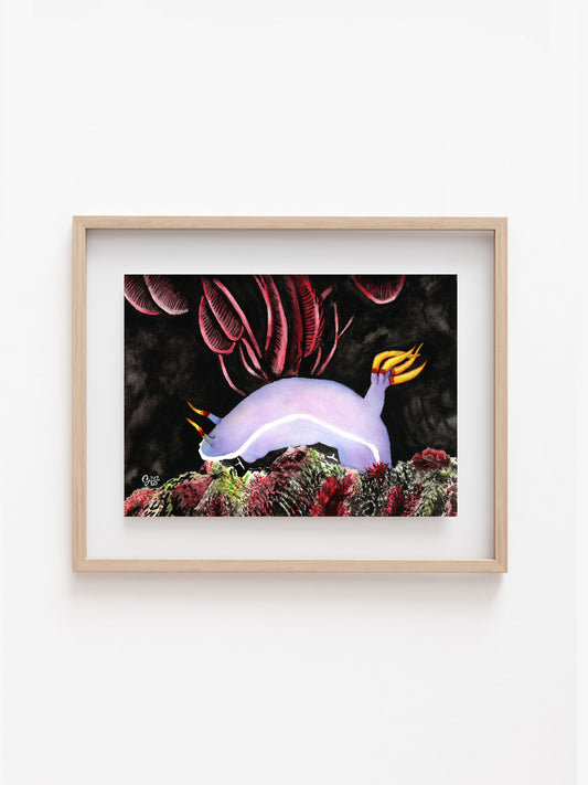 Nudibranch Art Print 8x10